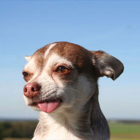 Ben net wakker pfffff......