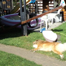 30 graden, niet in het zwembad, maar lekker in de zon
