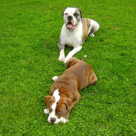 Yara en Floyd in de tuin