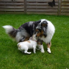 Beste vriendinnetjes!!