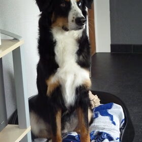 Mooie jongen!