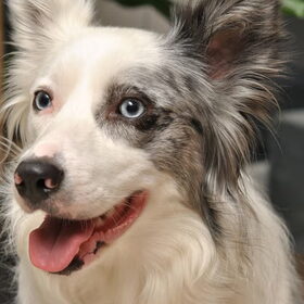 Nona, 2 jaar.