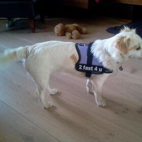 Kiya's tuigje is net binnen gekomen...op de groei gekocht ;)