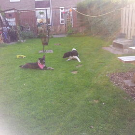 roxy samen met haar vriendje..