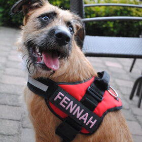 Met haar nieuw rood K9-tuigje, gratis gekregen :D