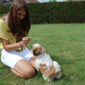 Puppykoekjeeeeeeeeeeeeeeeeeeeeeees !!!!
