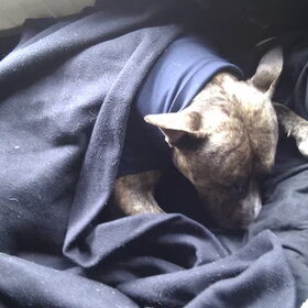Nog ff lekker slapen onder een dekentje om warm te blijven na de…