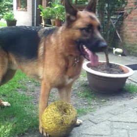 Ah toe nou.. Spelen?