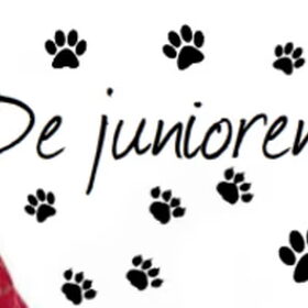 Zelf gemaakt voor de club "Junioren" als header :)