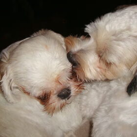 Liefde!