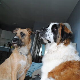 men mooie meiden