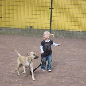 Samen met het jongste baasje op training!