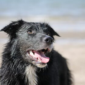 Miss Beach!