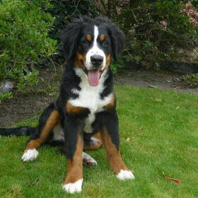 Jerome 5 maanden oud