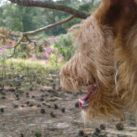 Lekker wandelen op de heide 29-08-2012