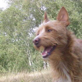Lekker wandelen op de heide 29-08-2012