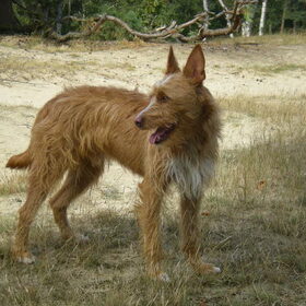 Lekker wandelen op de heide 29-08-2012