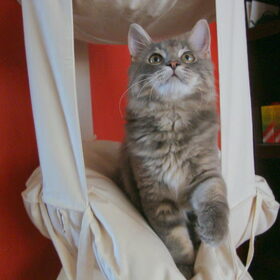 In de trapeze
