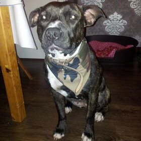 roxy haar nieuwe bandana