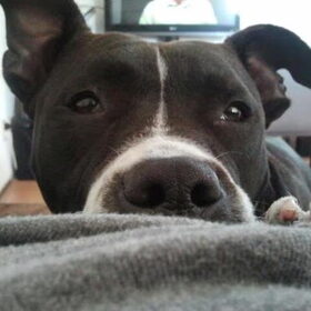Beautiful eyes!