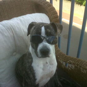 stoere bink