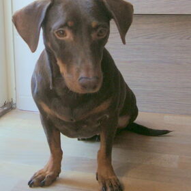Prinsesje