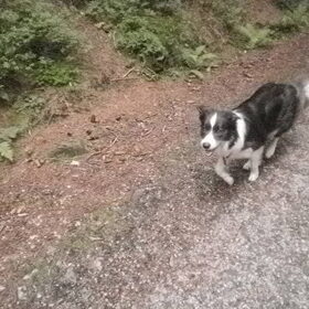 de 2e dag gingen we wandelen, Zarah natuurlijk mee, biegel ook!