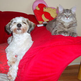 Big Friends