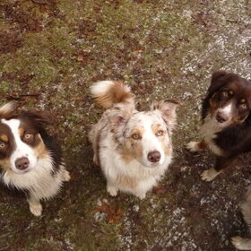 van links naar rechts Djinda (zusje) Yindi (mams) Wunbi (zusje)…