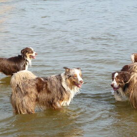 In het water na de JHD met familie :)