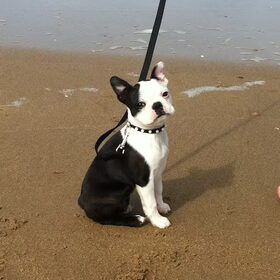 Eerste keer op het strand!