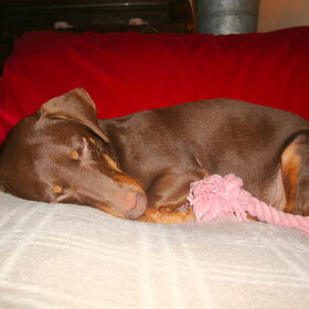 Deep Sleep