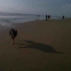 woewwwwww op het strand lekker los !!!x