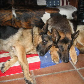 vader[dax] samen met zoon[yerry]