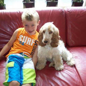 Hondenfoto van Jolanda & Cockertjes