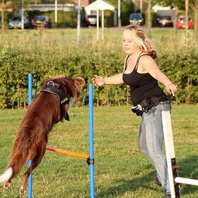 Sturen van Sprong naar Schutting.