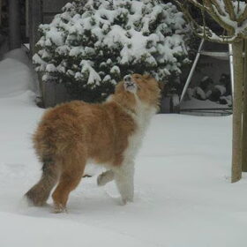 Wat is dit witte spul allemaal?