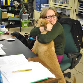 Knuffelen op den bureau @Olmense Zoo