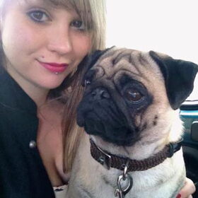 Hondenfoto van Abby &Google 