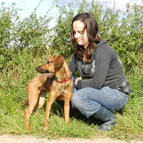 Hondenfoto van Melissa, Dempsey, Taiko, Minos & *Nina*