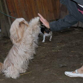 Luna met haar high five