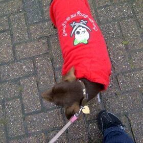 It's a raining day!!