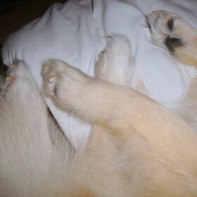 Pootjes!