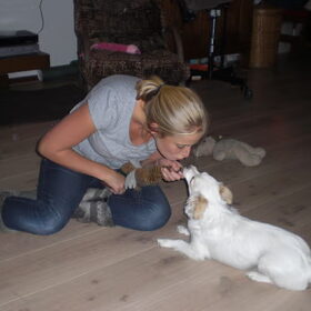 Hondenfoto van Taiko & Kiya Thalassa