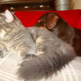Forever Friends!
