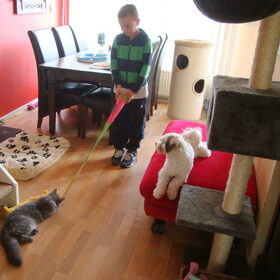 Spelen met Liam