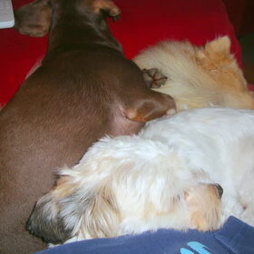 Lief!