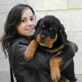 Samen met Donald, 1 van de 3 Rottweiler puppy's