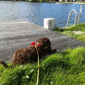 Lekker op de camping