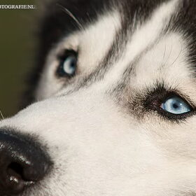Silver.